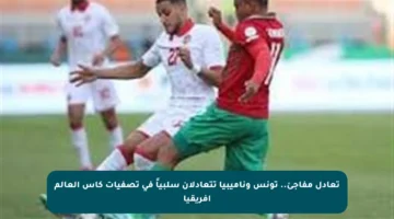 تعادل مفاجئ.. تونس وناميبيا تتعادلان سلبياً في تصفيات كأس العالم أفريقيا